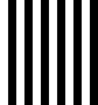 Vertical stripes of varying widths, evenly spaced, creating a rhythmic, linear design. BLACK/WHITE