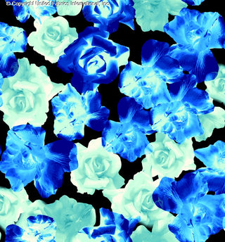 A floral pattern featuring large roses and orchids on a textured background. ROYAL/TURQ/AQUA