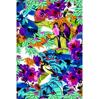 Amazon Tropical Bird Print High Multi Chiffon