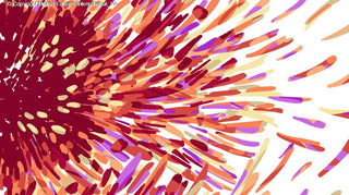 Burst of Radiance – The Amazement Yoryu Chiffon with Explosive Color Design