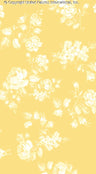 YELLOW/WHITE