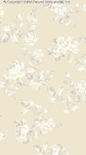 STONE/WHITE