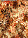 BROWN/DIJON/ORANGE