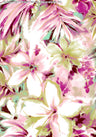 Rose/Citron