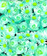 TURQ/BLUE/LIME