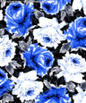 BLACK/GREY/BLUE
