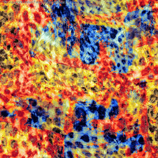 A vibrant, abstract fur-like pattern with swirling, textured patches and a mix of dense and sparse areas. BLACK/BLUE/RED