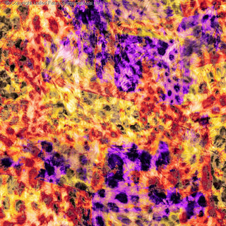 A vibrant, abstract fur-like pattern with swirling, textured patches and a mix of dense and sparse areas. BLACK/MAGENTA/RED