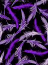 BLACK/PURPLE/WHITE