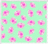 MINT/HOT PINK/CREAM