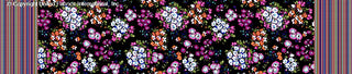 A detailed floral pattern featuring clusters of daisies and small flowers with leaves, set against a background, framed by intricate striped borders on both sides. BLACK/PINK/ORANGE