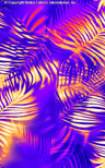 VIOLET/RED/ORANGE