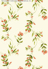 CREAM/CORAL/GREEN