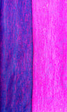 NEON PINK / BLUE