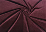 ACAIBERRY
