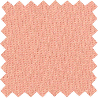 Smooth double knit with fine texture and 4-way stretch for structured, flexible garments 320 GSM PEACH