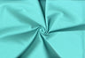 SPEARMINT